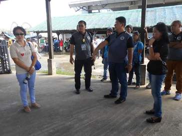 CALBAYOG EYES INDEPENDENT MEAT INDUSTRY