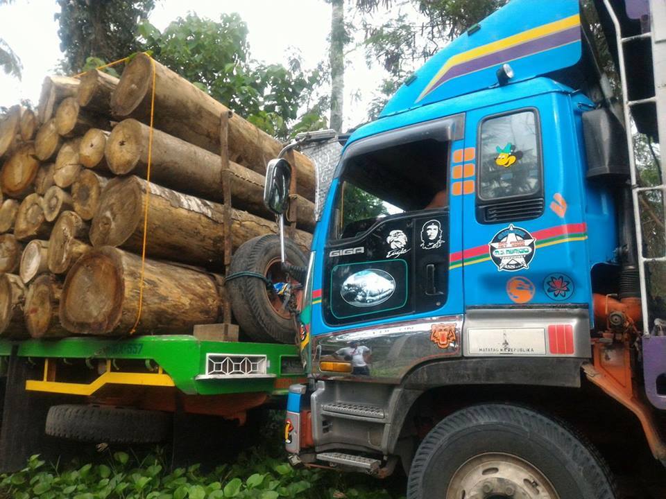 TRUCKLOADS OF FALCATA LOGS FROM NORTHERN SAMAR CONFISCATED