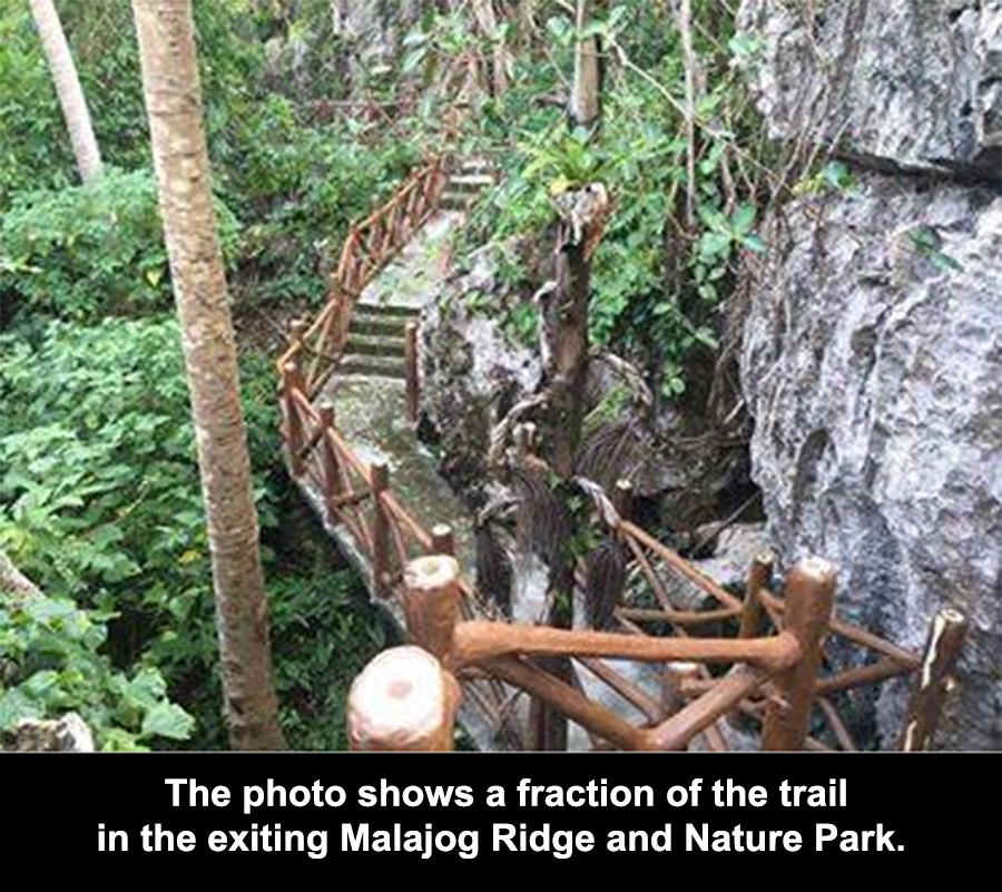 CITY GOVERNMENT TO POUR PERFORMANCE FUND INTO TOURISM DEVELOPMENT